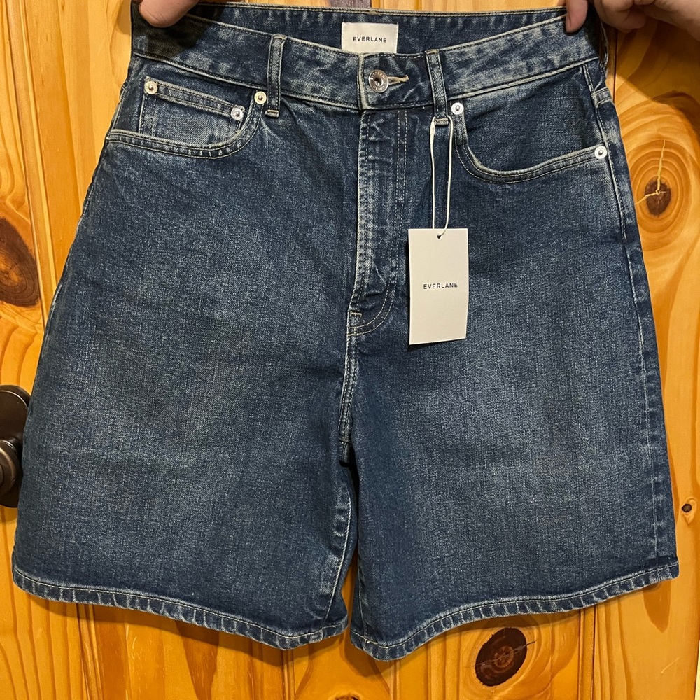 Everlane The Long A-Line Denim Short
